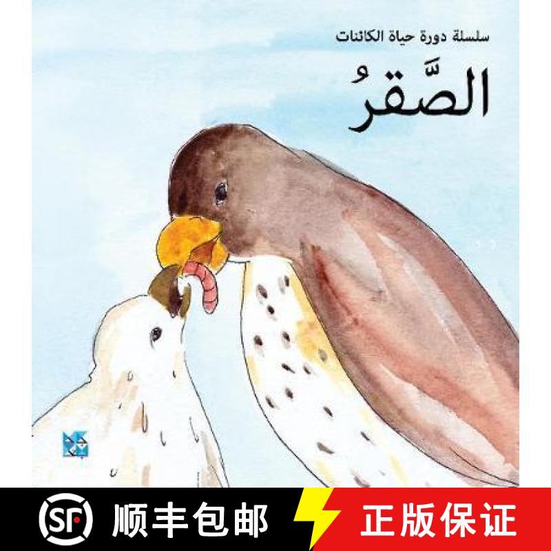 【2-3周达】Falcon [9789927119736]