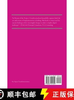 预订 Piccaso of the Project: Mastering the Art of Implementation Consulting [9798869291059]