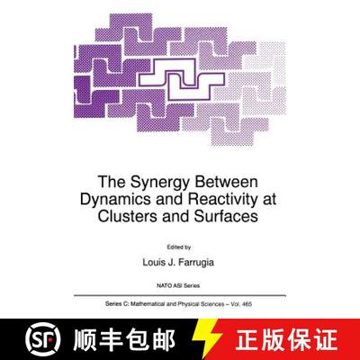【4周达】The Synergy Between Dynamics and Reactivity at Clusters and Surfaces [9789401040600]