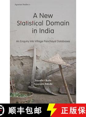 【3-4周达】A New Statistical Domain in India – An Enquiry Into Village Panchayat Databases (No. 3) [9789382381785]