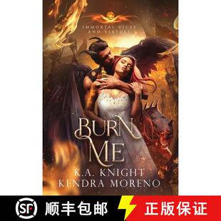 Book 9781399950107 Burn Vices and Immortal 4周达 Virtues