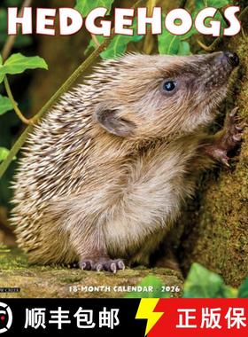 预订 Hedgehogs 2026 12 X 12 Wall Calendar [9781549251467]