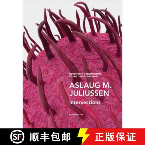 【3-4周达】精装 Aslaug M. Juliussen : Intersections [9783897905313]