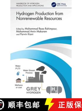 【3-4周达】Hydrogen Production from Nonrenewable Resources [9781032465586]