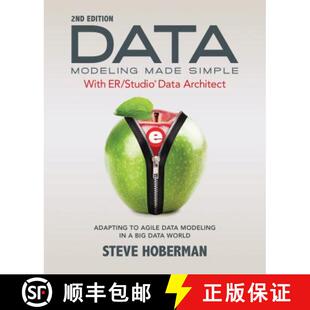 Simple with Made Data Agile Adapting Embarcadero Dat... Studio Modeling Architect 4周达 9781634620925