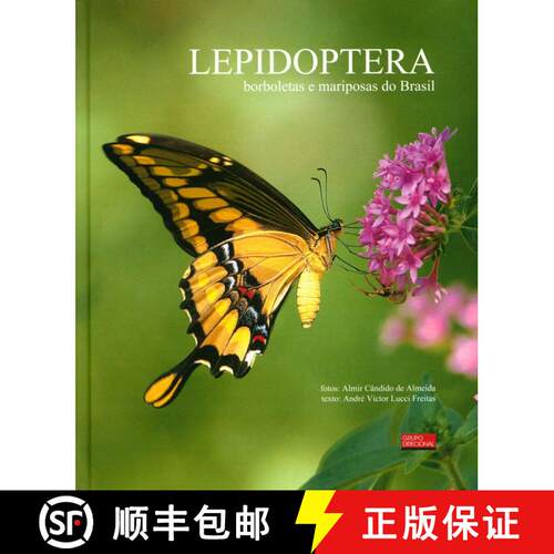 【3-4周达】精装 Lepidoptera: Borboletas e Mariposas do Brasil [Lepidoptera: Butterflies and Moths of ... [9788561931056]