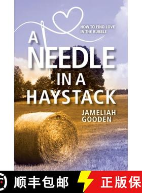 预订 A Needle in a Haystack: How to Find Love in the Rubble [9781954614727]