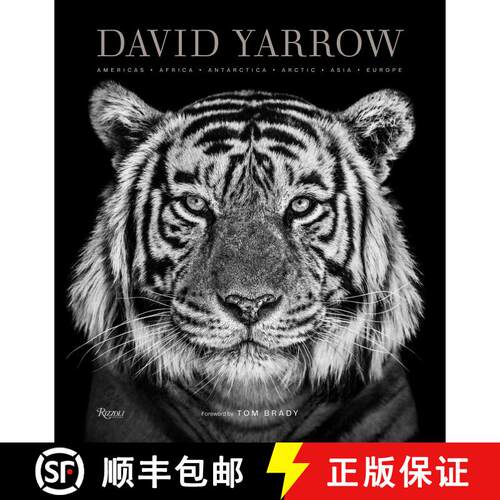 【3-4周达】精装 David Yarrow Photography: Americas Africa Antarctica Arctic Asia Europe [9780847864775]
