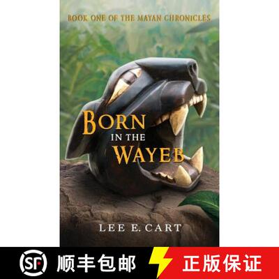 【3-4周达】Born in the Wayeb: Book One of The Mayan Chronicles [9780990676508]
