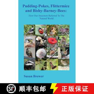 【3-4周达】Pudding-Pokes, Flittermice and Bishy-Barney-Bees [9780993254338]