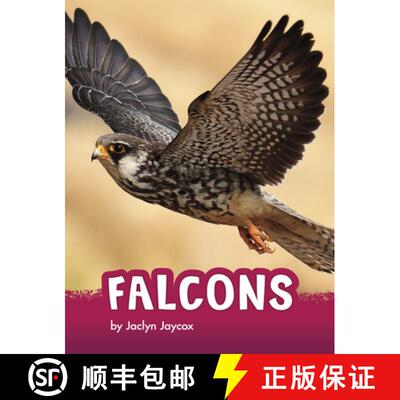 预订 Falcons [9781666342796]