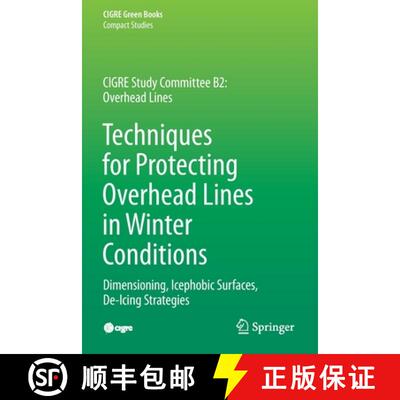 【3-4周达】Techniques for Protecting Overhead Lines in Winter Conditions : Dimensioning, Icephobic Su... [9783030874575]