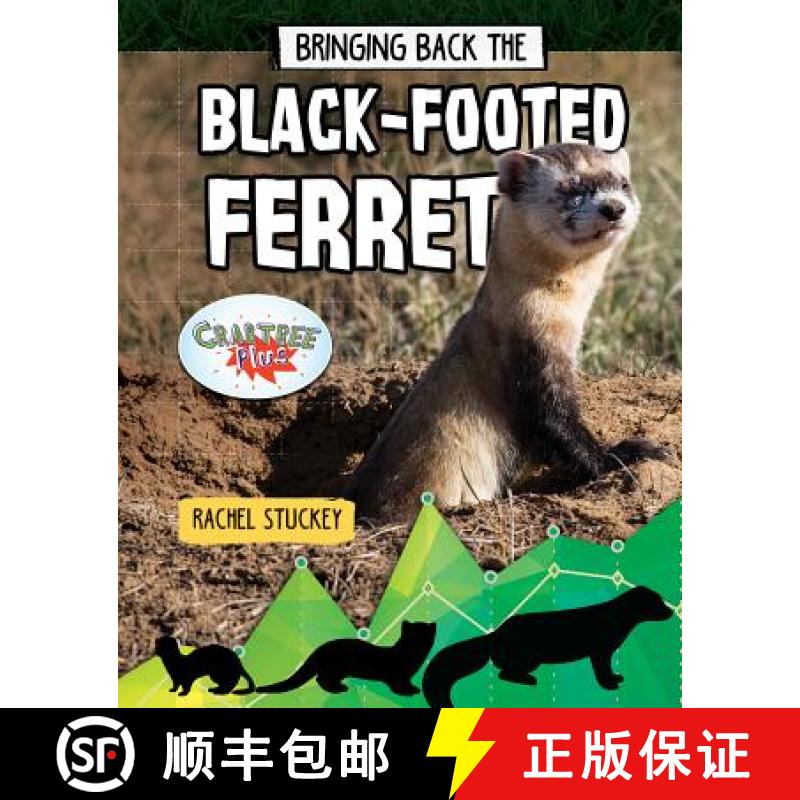【3-4周达】Bringing Back the Black-Footed Ferret [9780778763246]