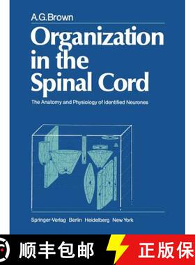 【3-4周达】Organization in the Spinal Cord : The Anatomy and Physiology of Identified Neurones [9781447113072]