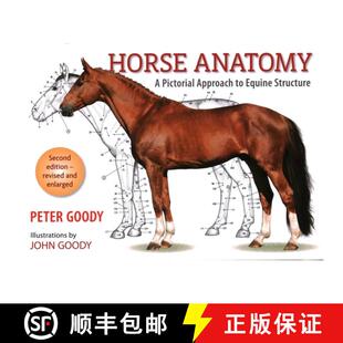 预订 Horse Anatomy 2e: A Pictorial Approach to Equine Structure [9780851317694]