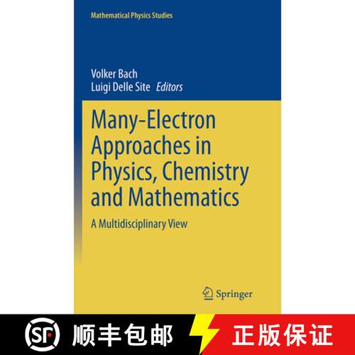 【3-4周达】Many-Electron Approaches in Physics, Chemistry and Mathematics : A Multidisciplinary View ... [9783319343044]