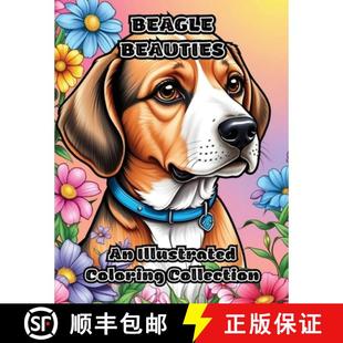 Beagle Beauties Collection 9798869047137 Coloring 4周达 Illustrated