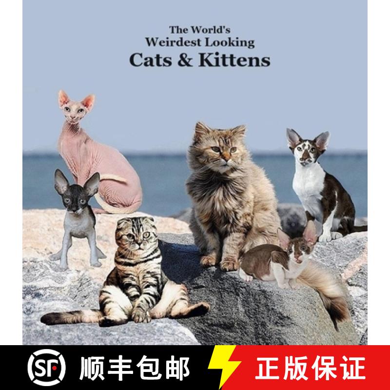 预订 World's Weirdest Looking Cats and Kittens Kids Book: Great Way for Children to Meet the Weirdest... [9781960612823]