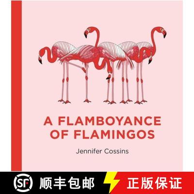 【3-4周达】A Flamboyance of Flamingos [9780734419859]