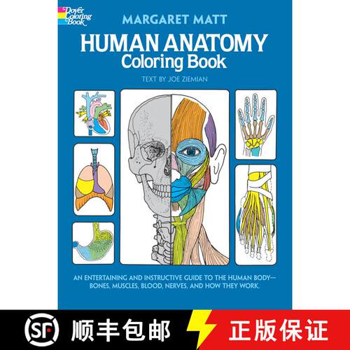 预订 Human Anatomy Coloring Book: An Entertaining and Instructive Guide to the Human Body - Bones, Mu... [9780486241388]