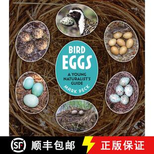 Young 9780228104827 3周达 Guide Naturalist Eggs Bird