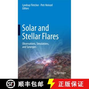 Flares 9789402409345 4周达 Synergies Simulations Observations Stellar and Solar