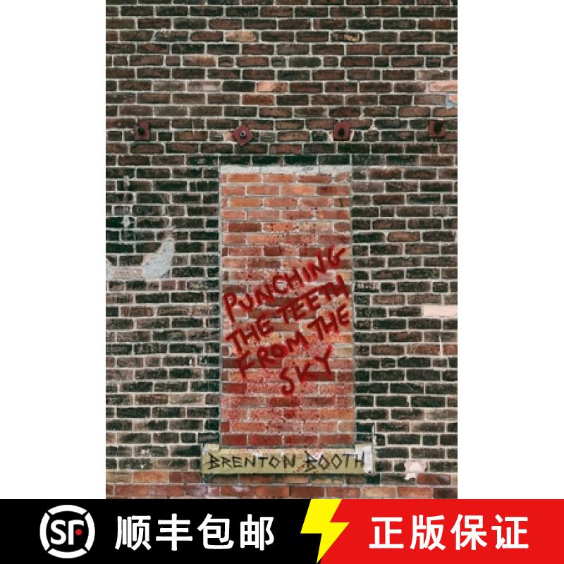 【2-3周达】Punching The Teeth From The Sky [9781926860541]