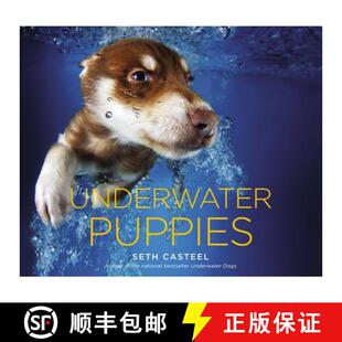 【3-4周达】Underwater Puppies [9780316254892]