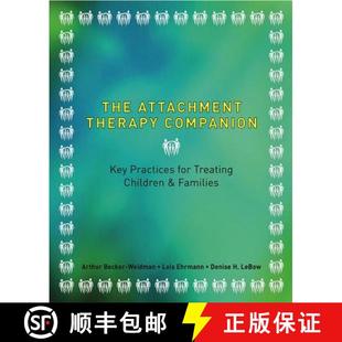 Attachment Children Families The 3周达 for Key Companion 9780393707489 Treating Therapy Practices