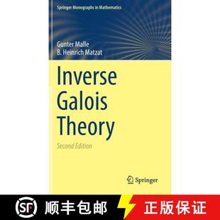 Theory 4周达 Galois 9783662554197 Inverse