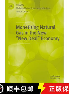【3-4周达】Monetizing Natural Gas in the New “New Deal” Economy [9783030599850]