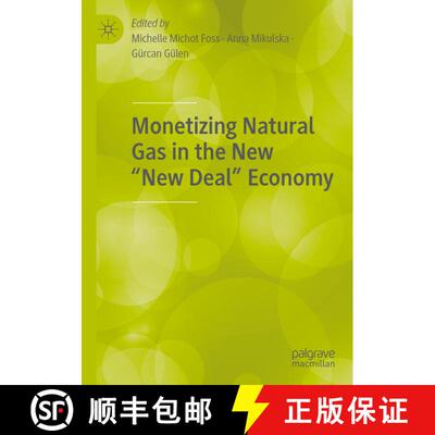 【3-4周达】Monetizing Natural Gas in the New “New Deal” Economy [9783030599850]