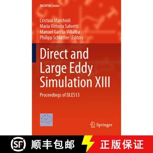Simulation Large XIII Dles13 Direct 4周达 9783031470301 and Proceedings Eddy