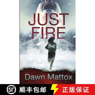 Just Fire Thriller 9781734503036 Suspense 4周达 Burning