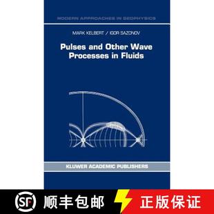 Wave Processes Other Pulses Initial Approach Problems and Asymptotical 4周达 9789048146697 Fluids