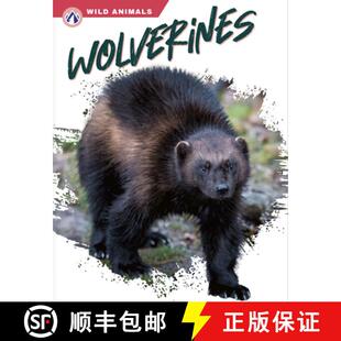 Wolverines 4周达 9781637384732