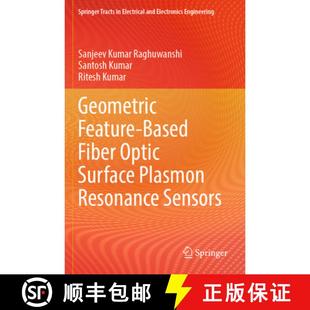 Optic Based Surface Sensors Geometric Resonance 4周达 9789819972999 Feature Plasmon Fiber