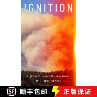 Fires 9781645037385 Ignition World Lighting Burning 预订