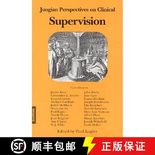 Jungian Perspectives Supervision 4周达 Clinical 9783856305529