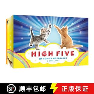 9781452135656 High Pop 4周达 Five Envelopes Notecards