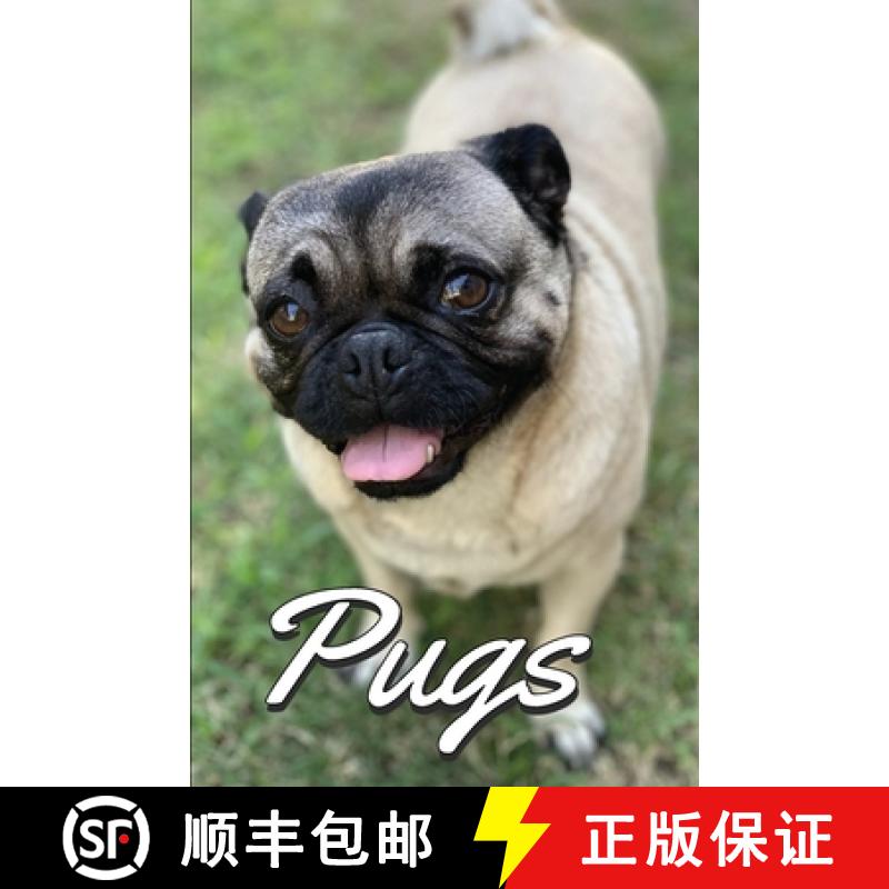 预订 Pugs Photo Book for Writing and Note Taking: Writing Pad with Pug Pictures, Dog Lover Gifts [9781636571799]