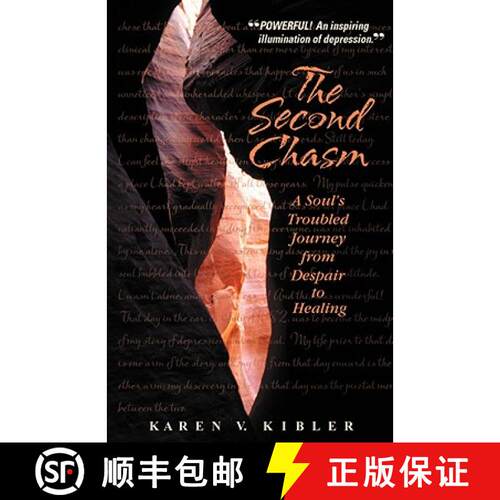 【3-4周达】The Second Chasm: A Soul's Troubled Journey from Despair to Healing [9781932279313]