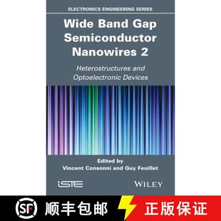 Nanowires Gap For Wiley电子电气工程 Wide Devices 4周达 9781848216877 Band Optical Semiconductor