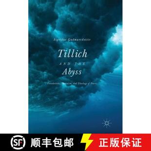 Foundations the Feminism Praxis Tillich 4周达 9783319815664 and Theology Abyss