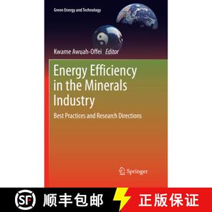 Efficiency Minerals Energy Research 9783319853413 and 4周达 Best Industry the Directions Practices