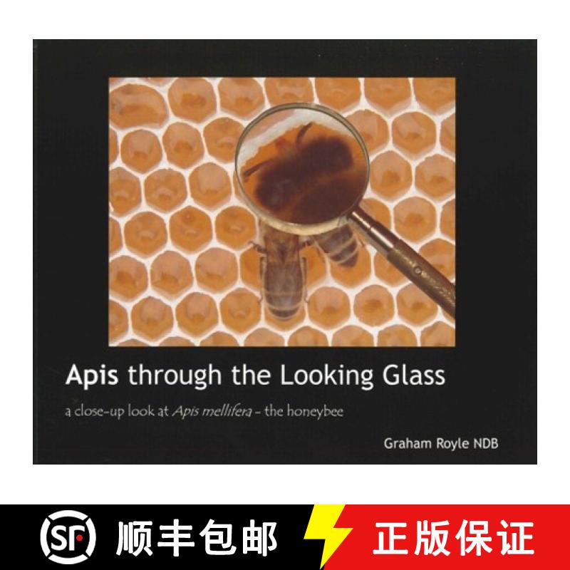 预订 Apis Through the Looking Glass [9780905652801]