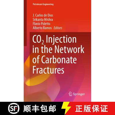 【3-4周达】精装 CO2 Injection in the Network of Carbonate Fractures [9783030629854]