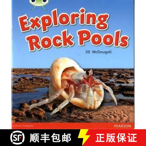 【3-4周达】Bug Club Guided Non Fiction Year 1 Green C Exploring Rock Pools [9780435167363]