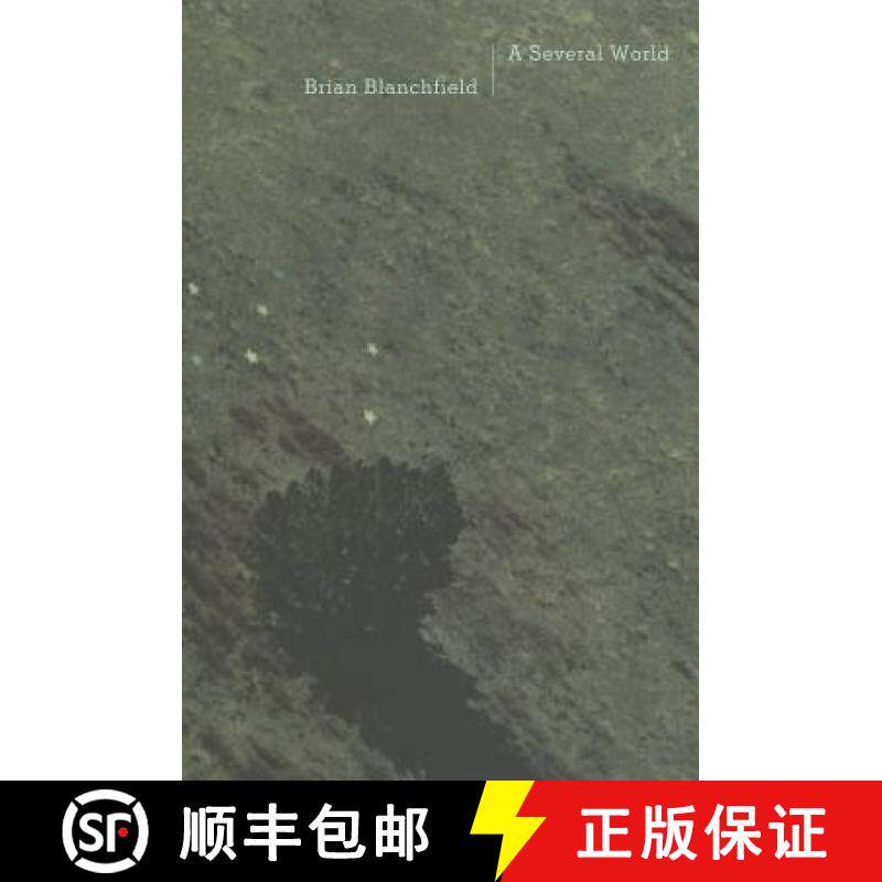 【3-4周达】A Several World [9781937658175]