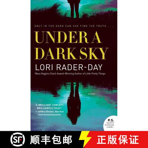 【3-4周达】Under a Dark Sky: A Novel [9780062560308]